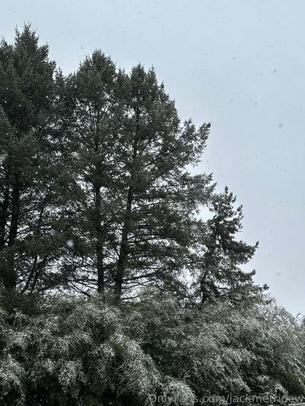 jackmerridew image #1