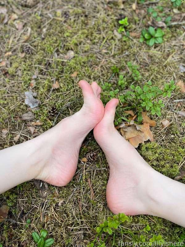 lilyishere image #1