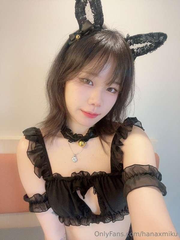 nyaa ≽^•⩊•^≼