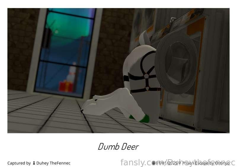 duheythefennec image #7