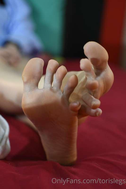 torislegs image #7