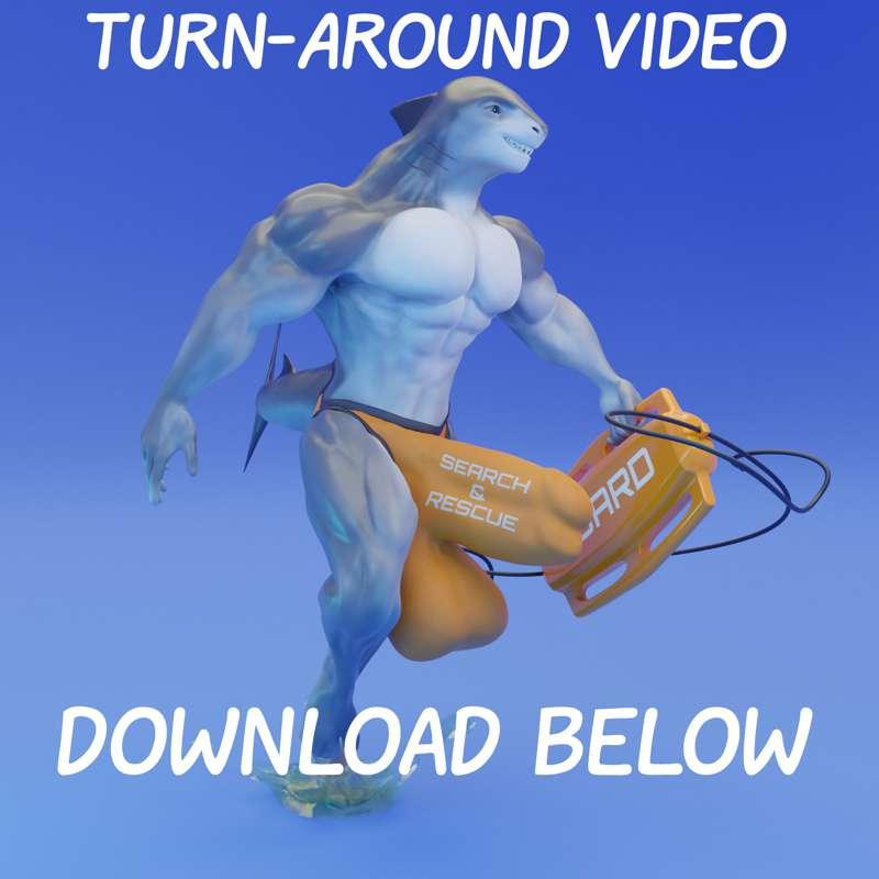 Search and Rescue Turn-Around Video