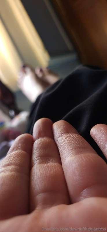 Do you feel safe in my hand tiny ? 
