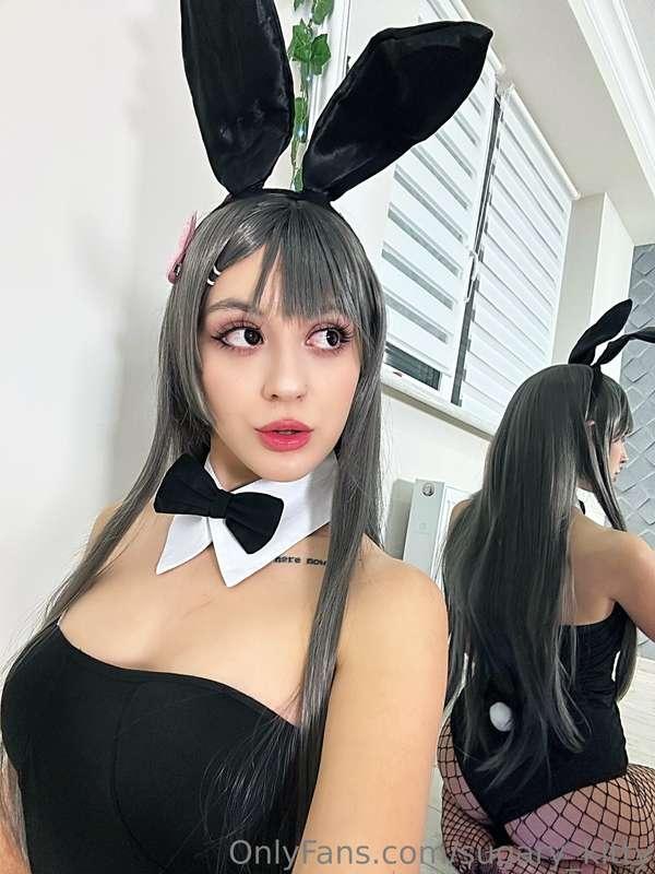 sugary_kitty main image