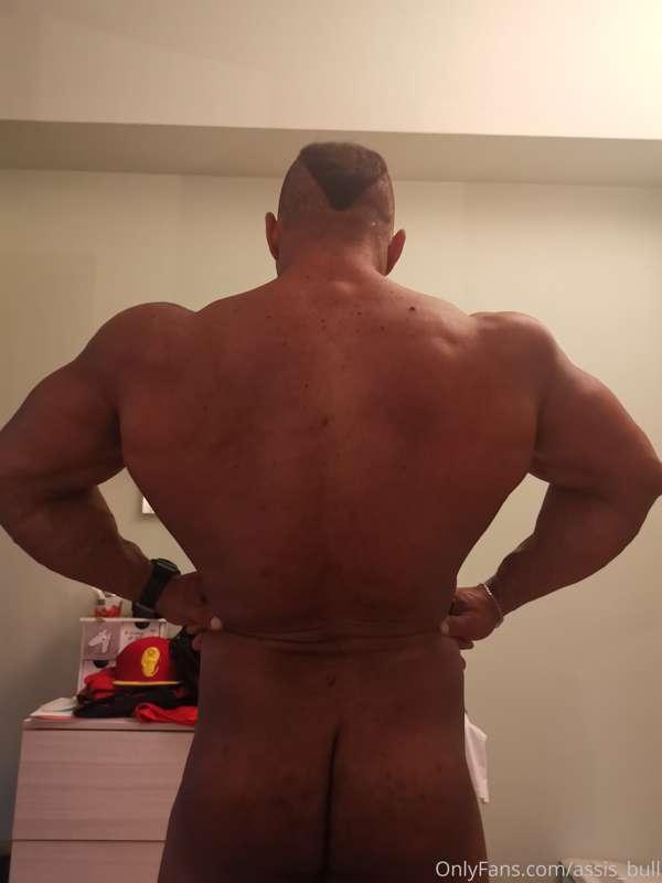 assis_bull image #0