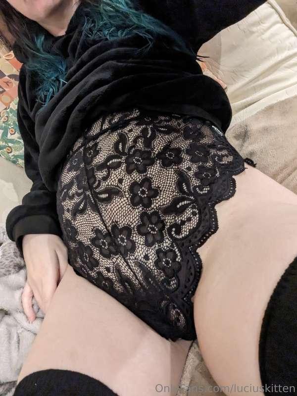 luciuskitten image #1