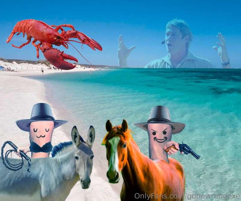 FlamFlam go on a adventure to the beach and witness the ghos..