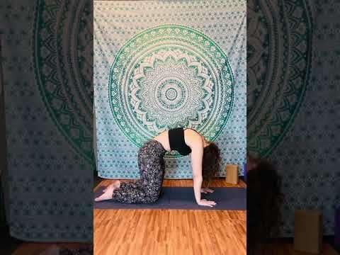 25 minute flow: Twists