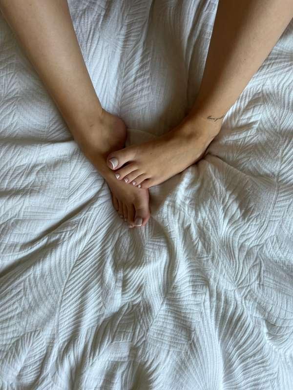 librarosebud image #0