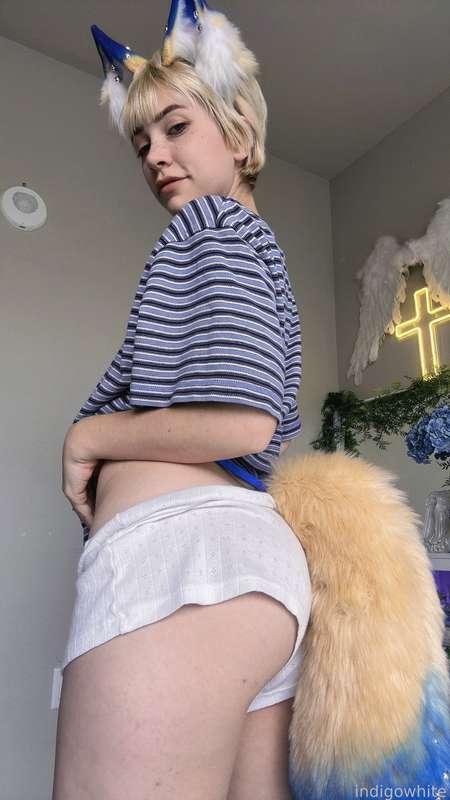 indigowhite image #26