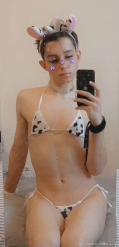 Bitch! I’m a cow!