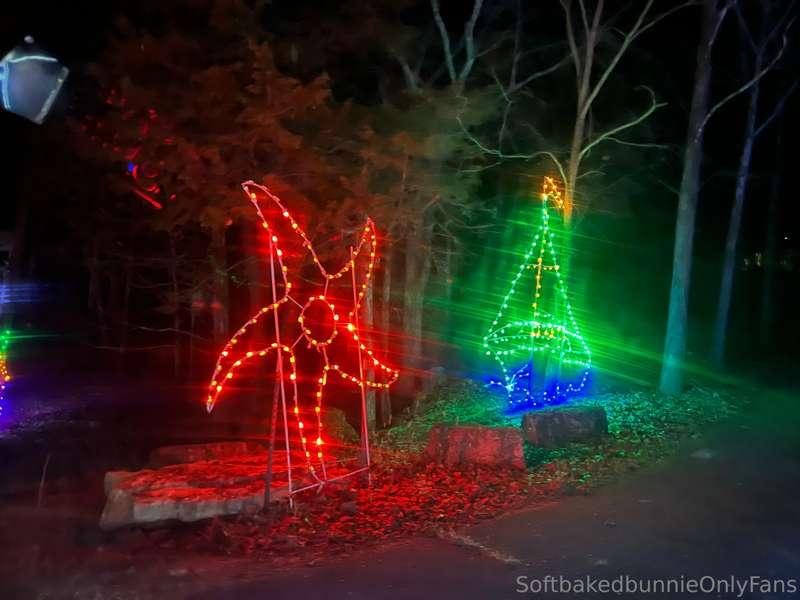 Was taken on a Christmas light date ✨🎄🐇💚 #christmas #lights ..