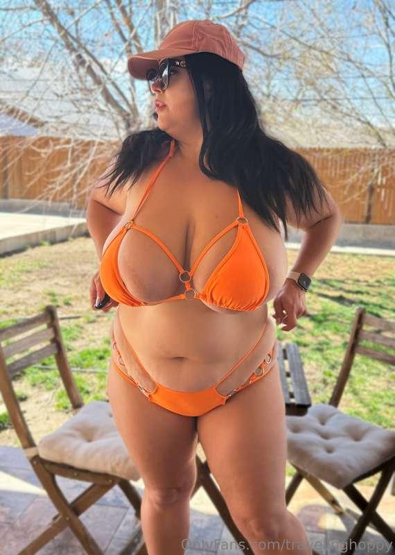 travelinghoppy image #0