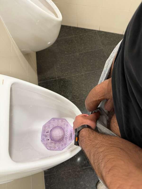 None of the urinals have dividers in sydney lmao