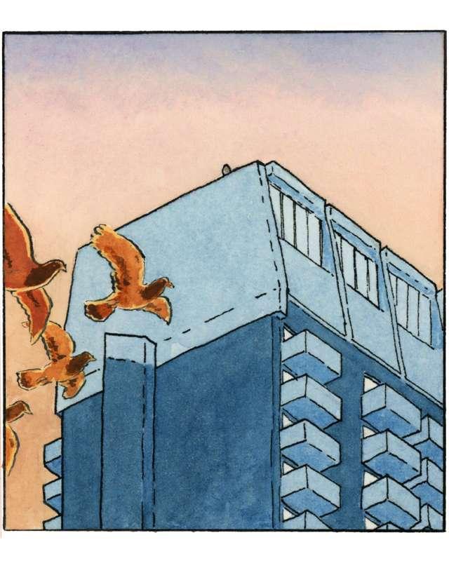 The Watcher