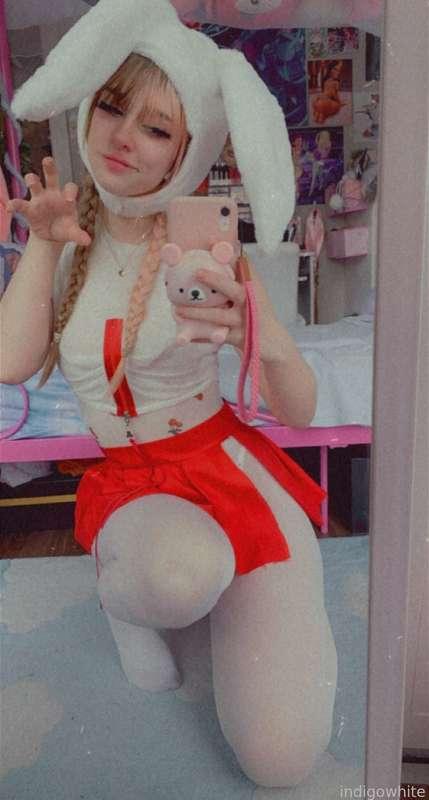 indigowhite image #76