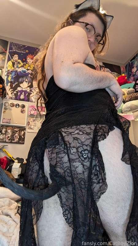 catboyzion image #8