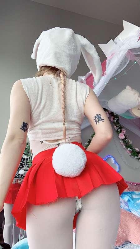 indigowhite image #109