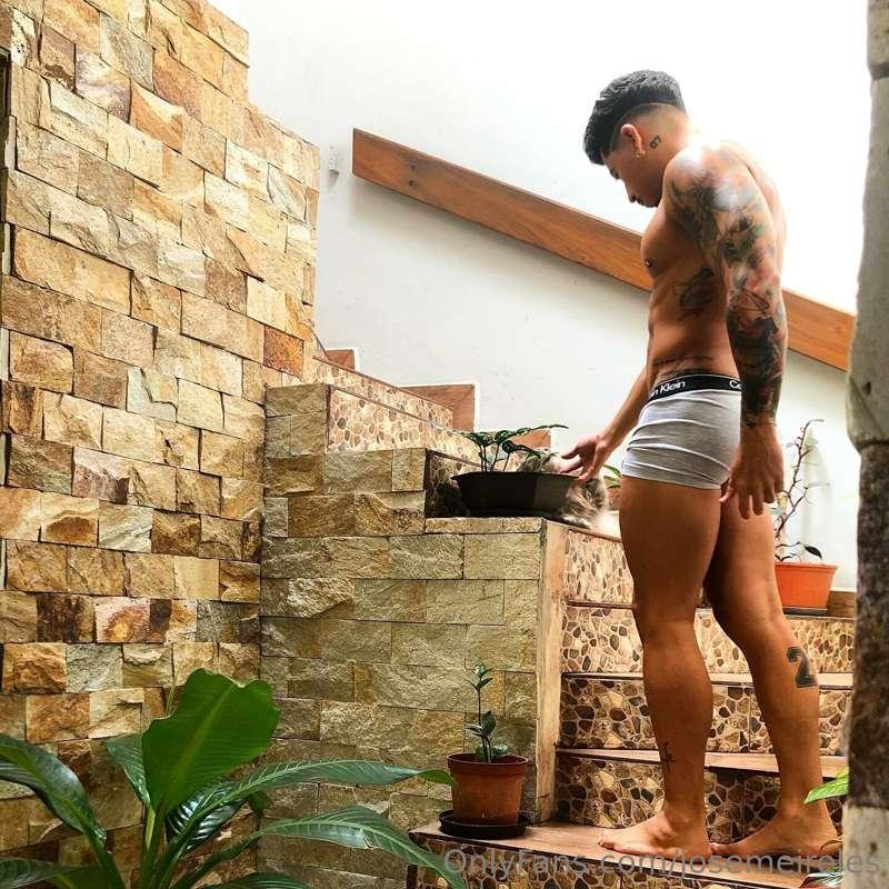 Buenos días ☀️ @josemeireles