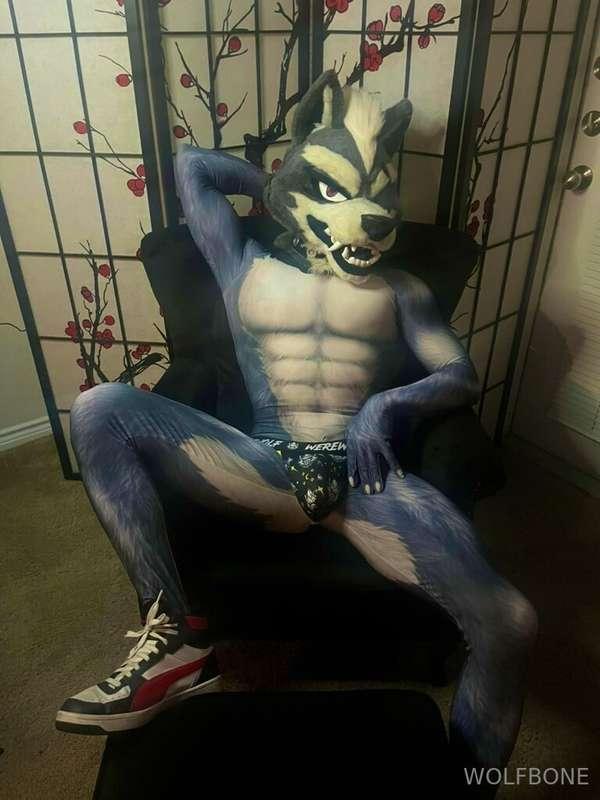 Had a little fun cuddle time with my fox last night!  Bet yo..