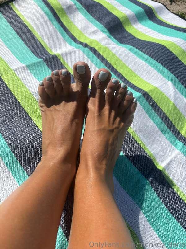 monkey_daria image #0