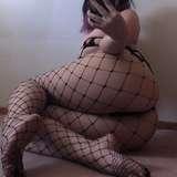 sashaspitsfree