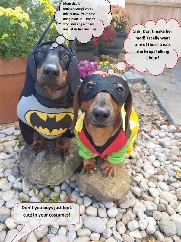 Look Cute in Your Costumes