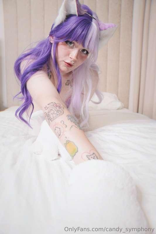 Meow but in purple😺💜