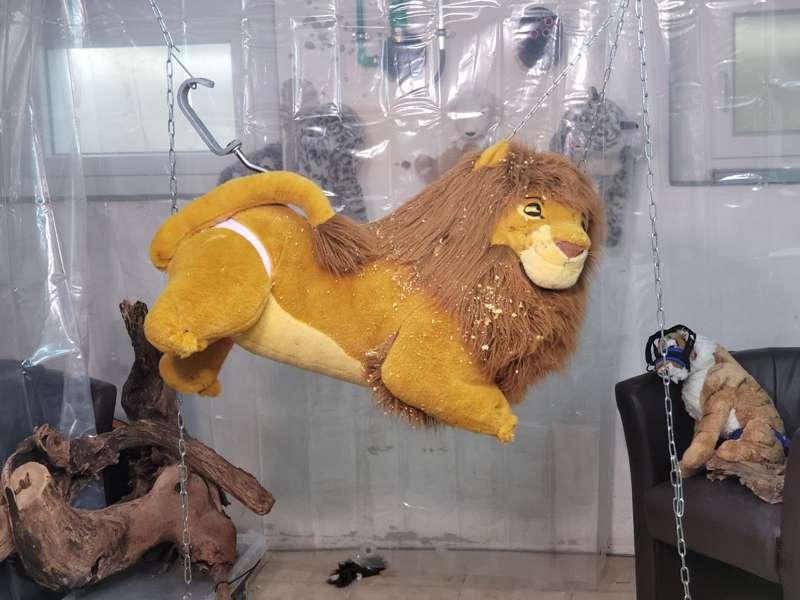 Plush fun