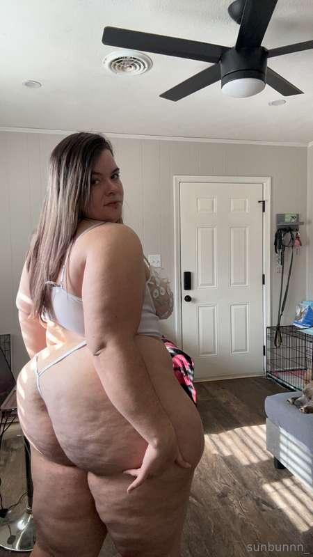 pawgwithablog97 image #1