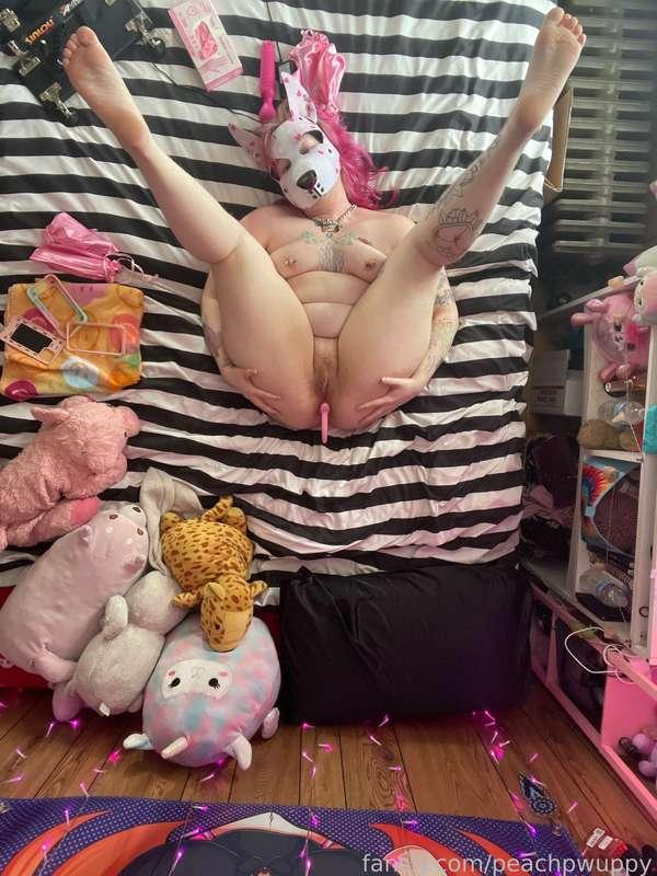 peachpwuppy image #12