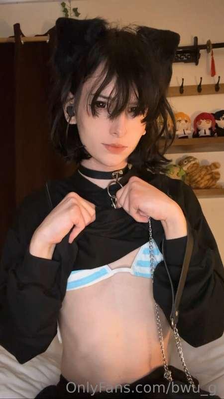 bwu_gi image #2