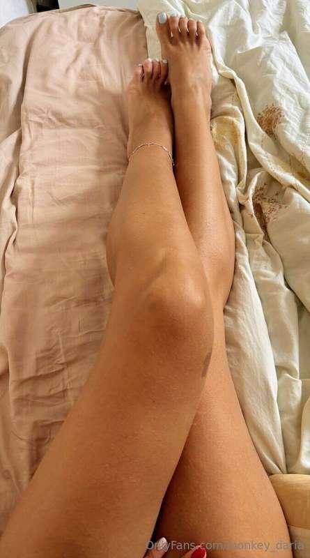 monkey_daria image #0