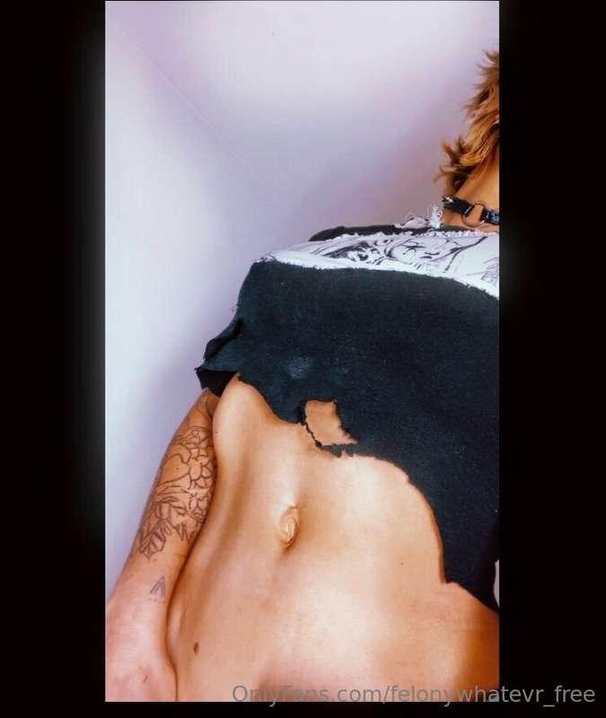 felonywhatevr_free image #0