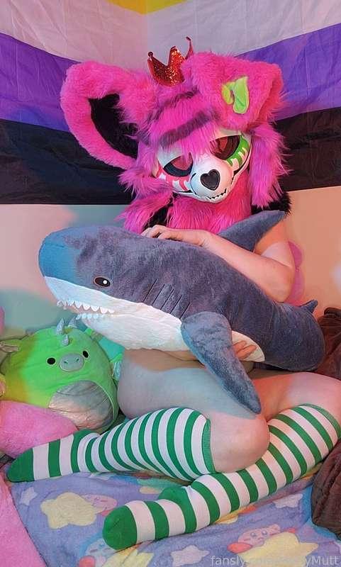 What fun will I get up to with my blahaj?

#furry #fursuit #murrsuit #murrsuiter #furryporn #plushophile #stuffedanimal #plushhumping #pillowhumping #pic #photos #photoset 