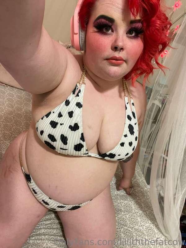 lilliththefatcow image #0
