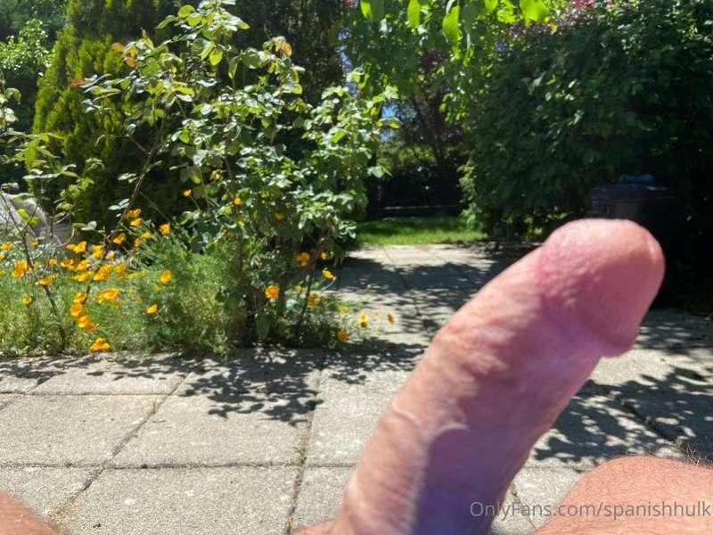 Sunny dick