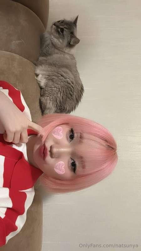 Mission ‘Bring the kitten home’ accomplished₍₍ ◝(・ω・)◟ ⁾⁾