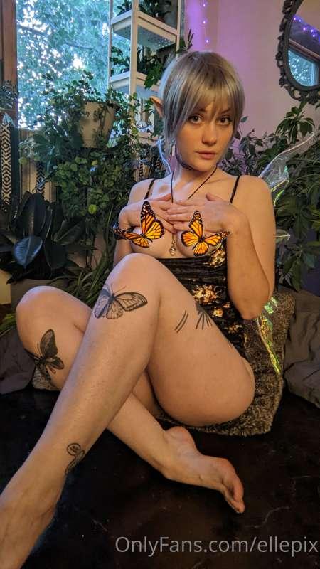 🧚‍♀️ Sexy little pixie pix!! 🧚‍♀️

This is seriously the che..