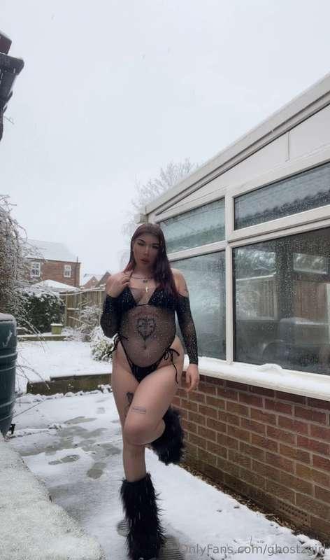 snow bunny🐰