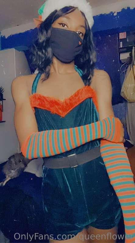 queenflower image #9