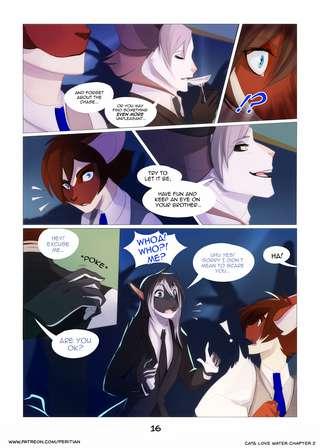 Cats Love Water II page 16+Rewards