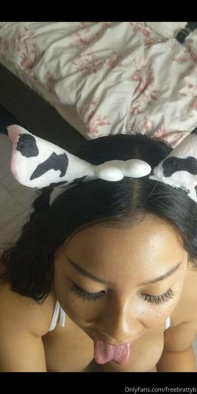 POV this cow is about to suck ur dick