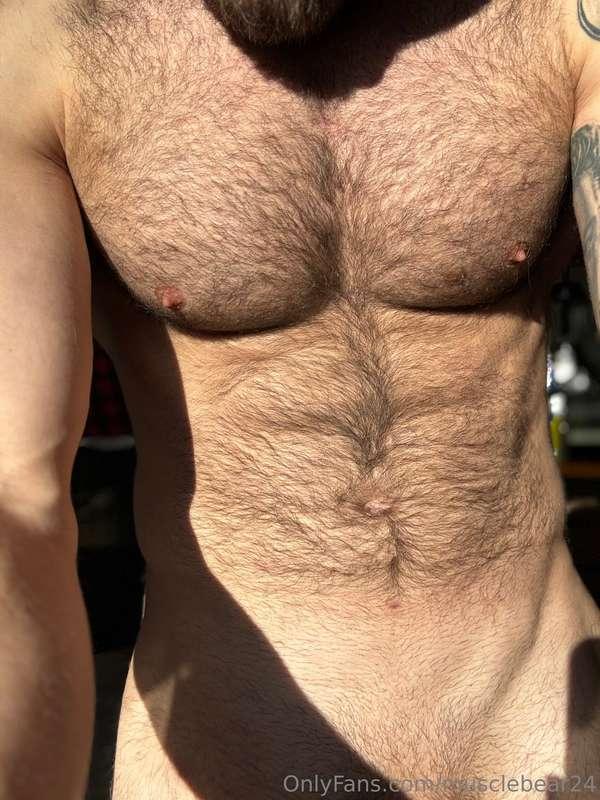 musclebear24 image #1