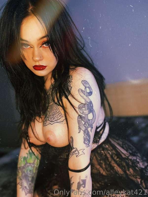 alleykat421 image #0