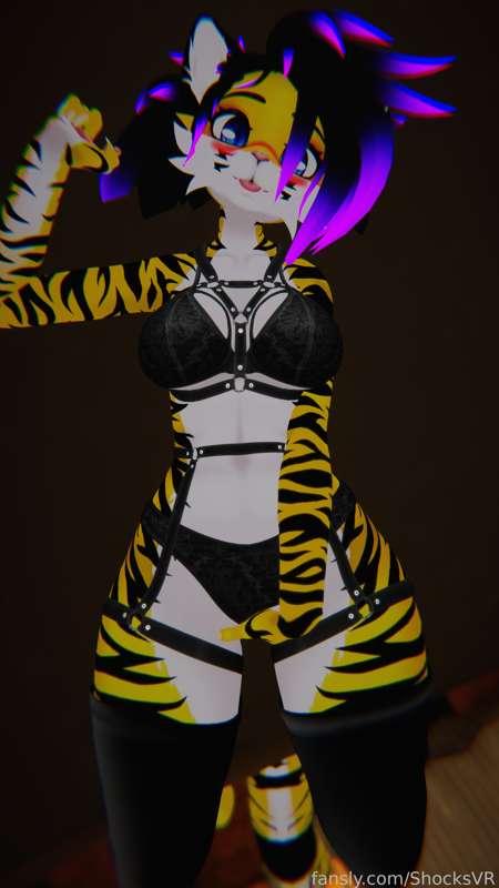 shocksvr image #4
