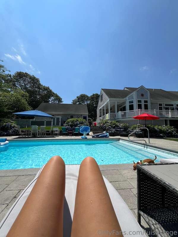 Hot dogs or legs