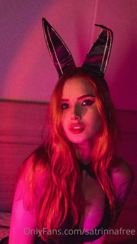 A bad bunny for u 💜