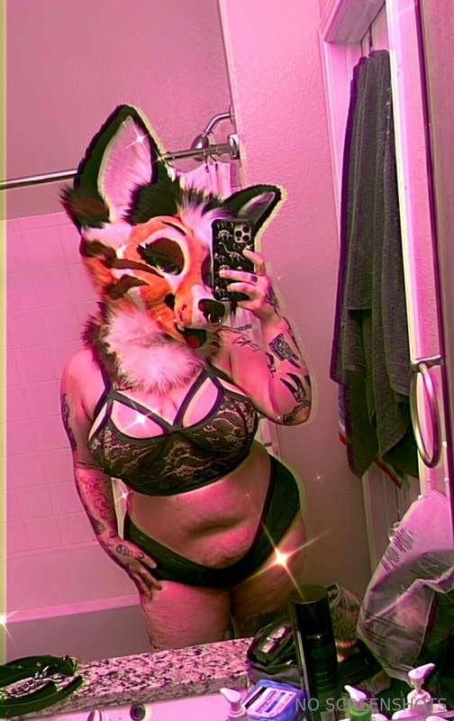 Furry bitches? Y or N?