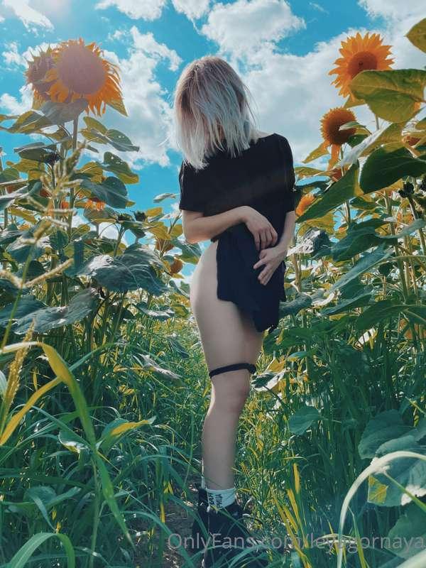 leyagornaya image #3